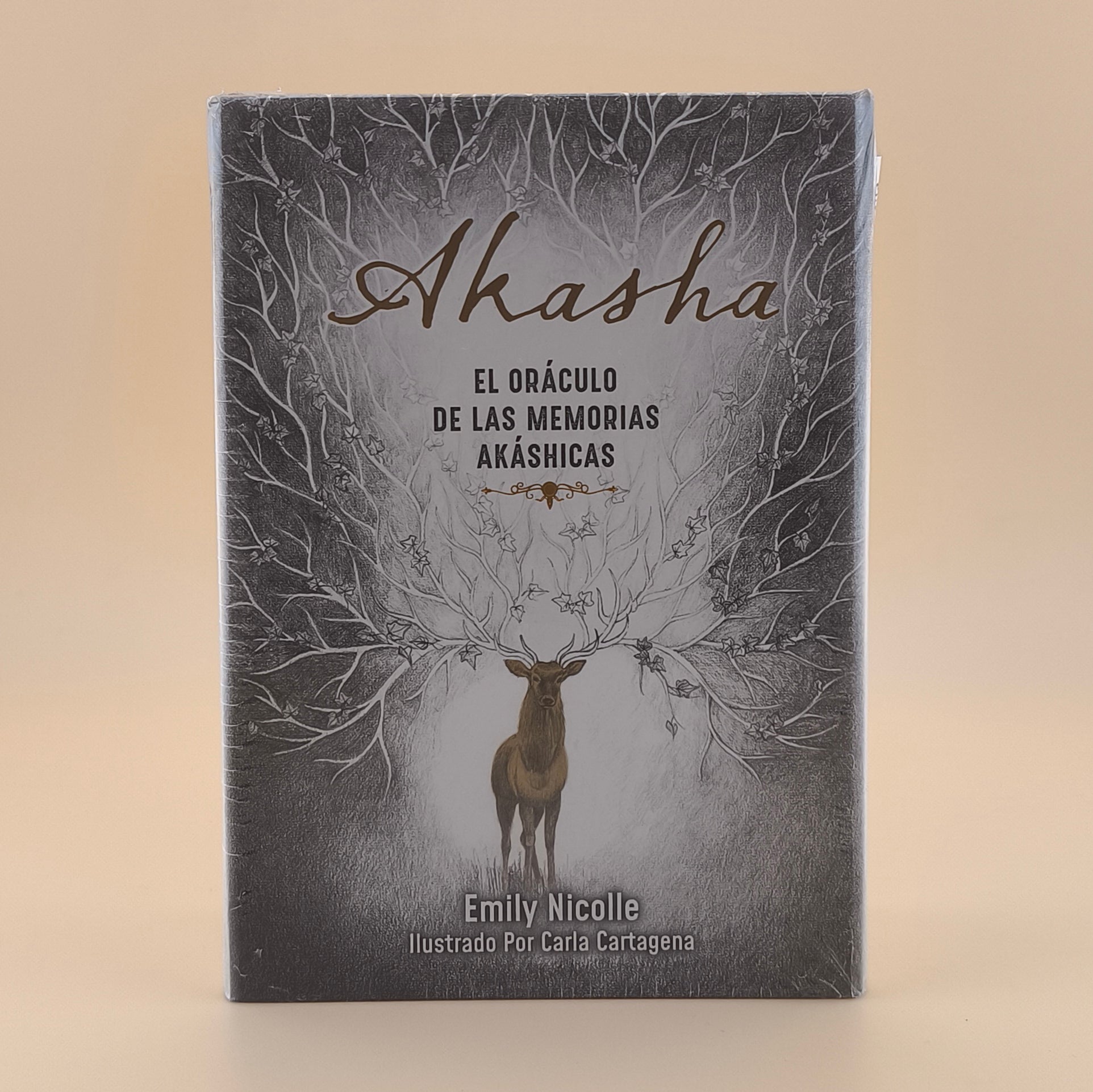 Akasha El Oráculo de las Memorias Akáshicas