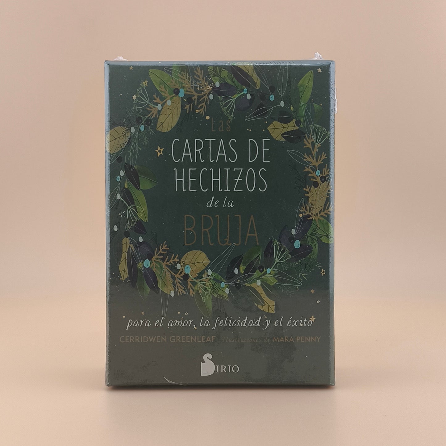 Las Cartas de hechizos de la Bruja