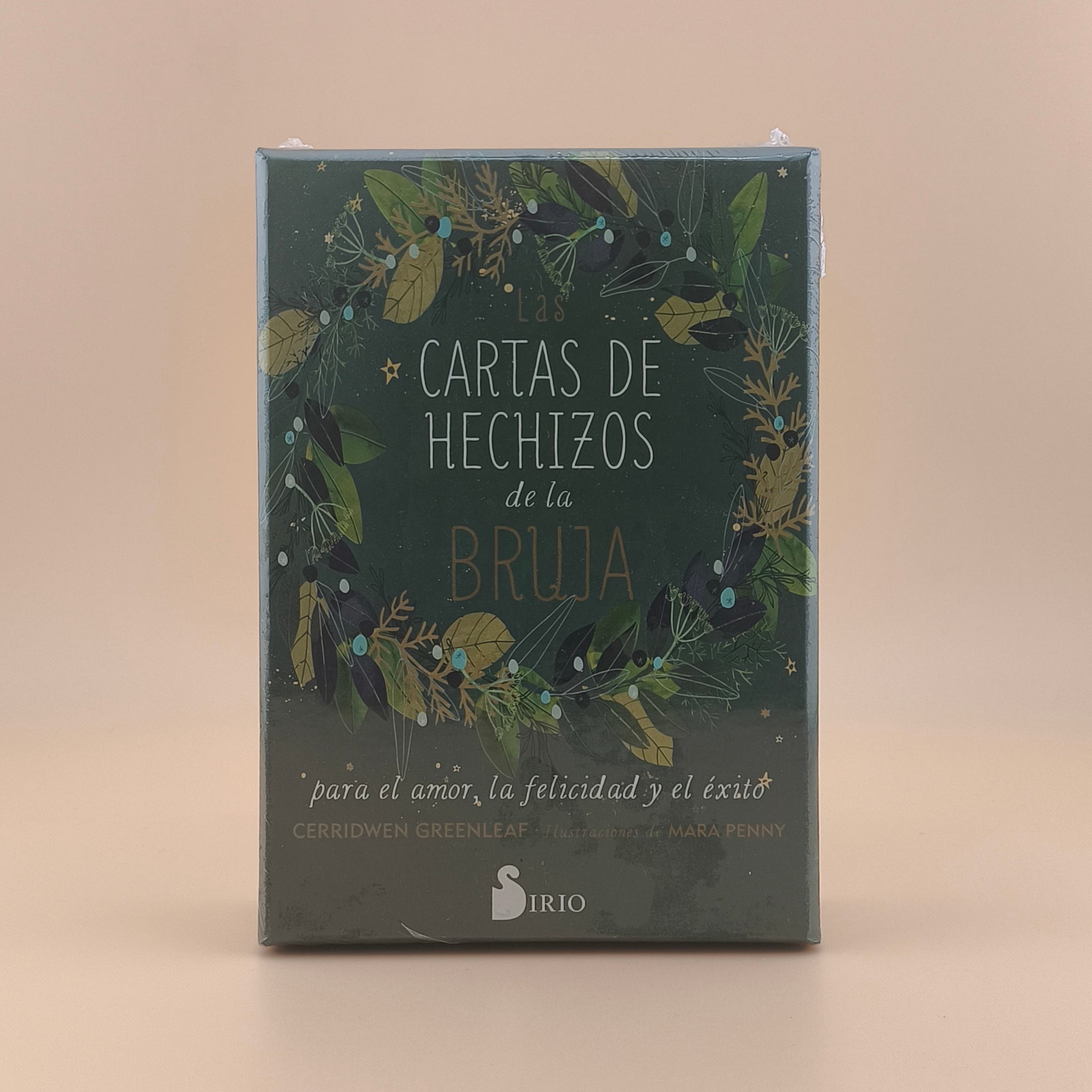 Las Cartas de hechizos de la Bruja