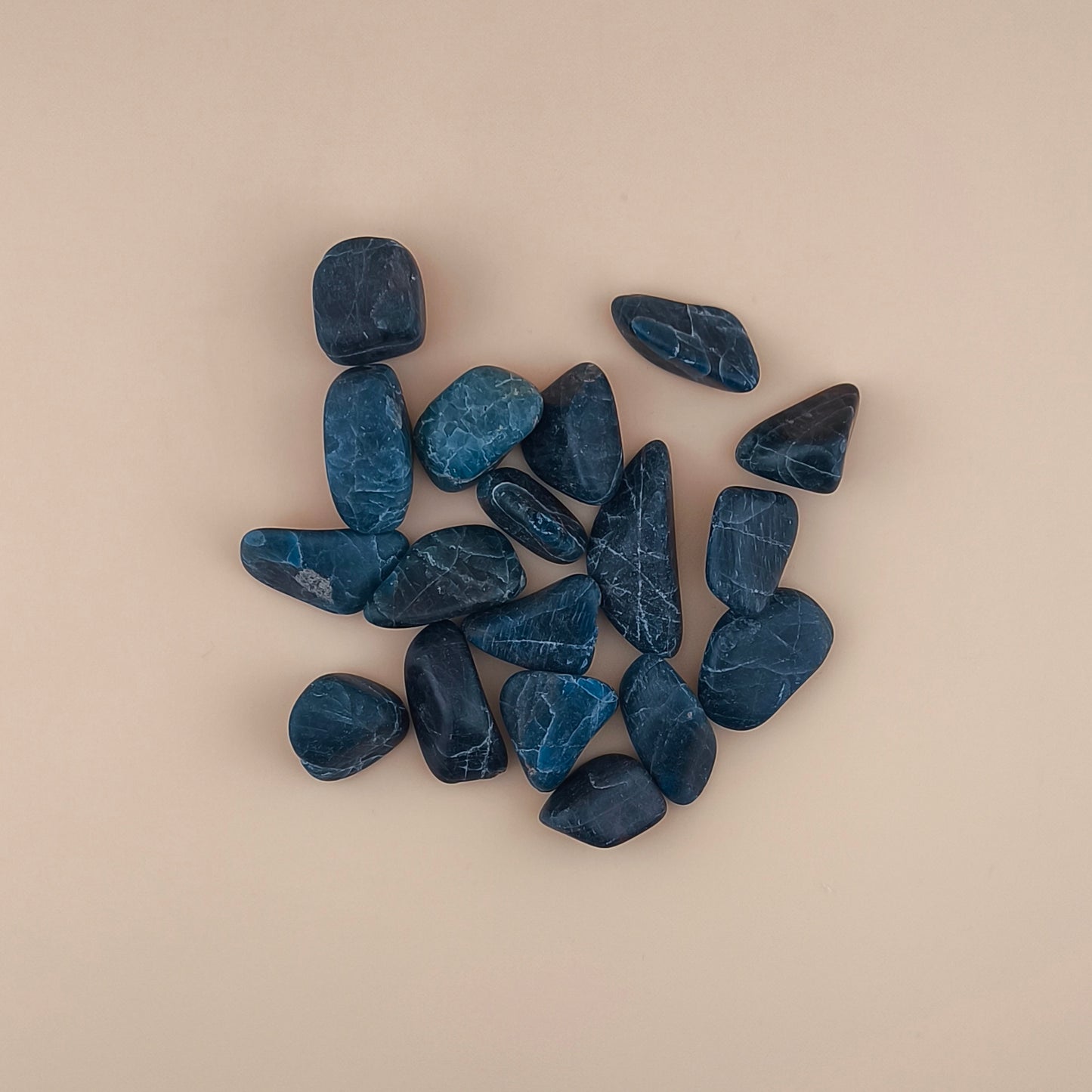 Rodado Apatito Azul