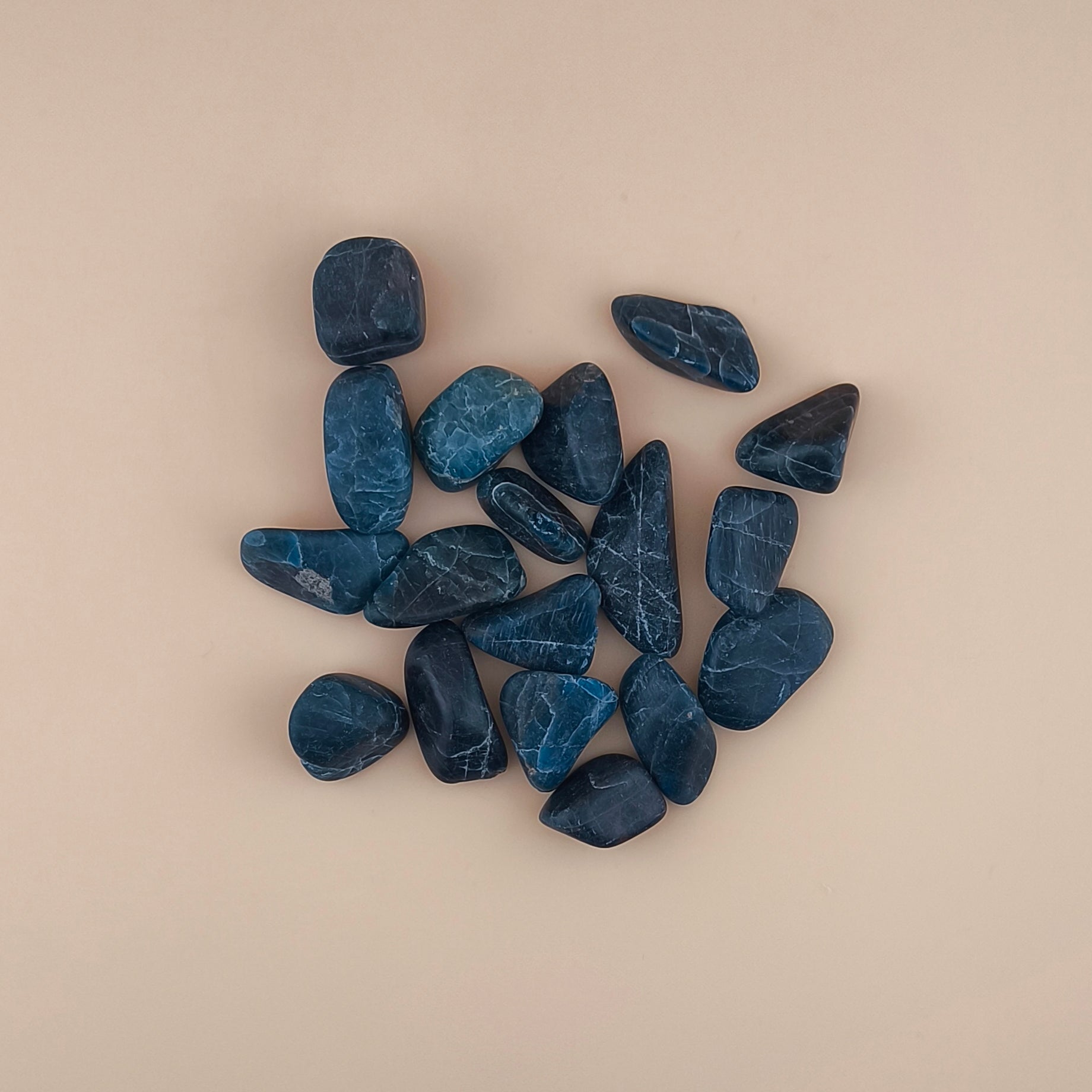 Rodado Apatito Azul